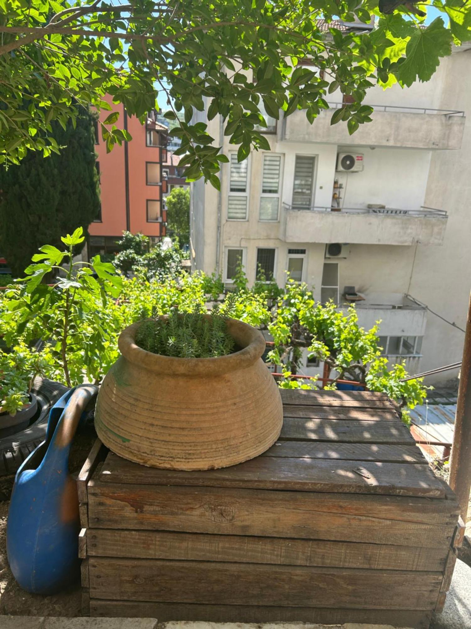 Apartamento Didi House Sandanski Exterior foto