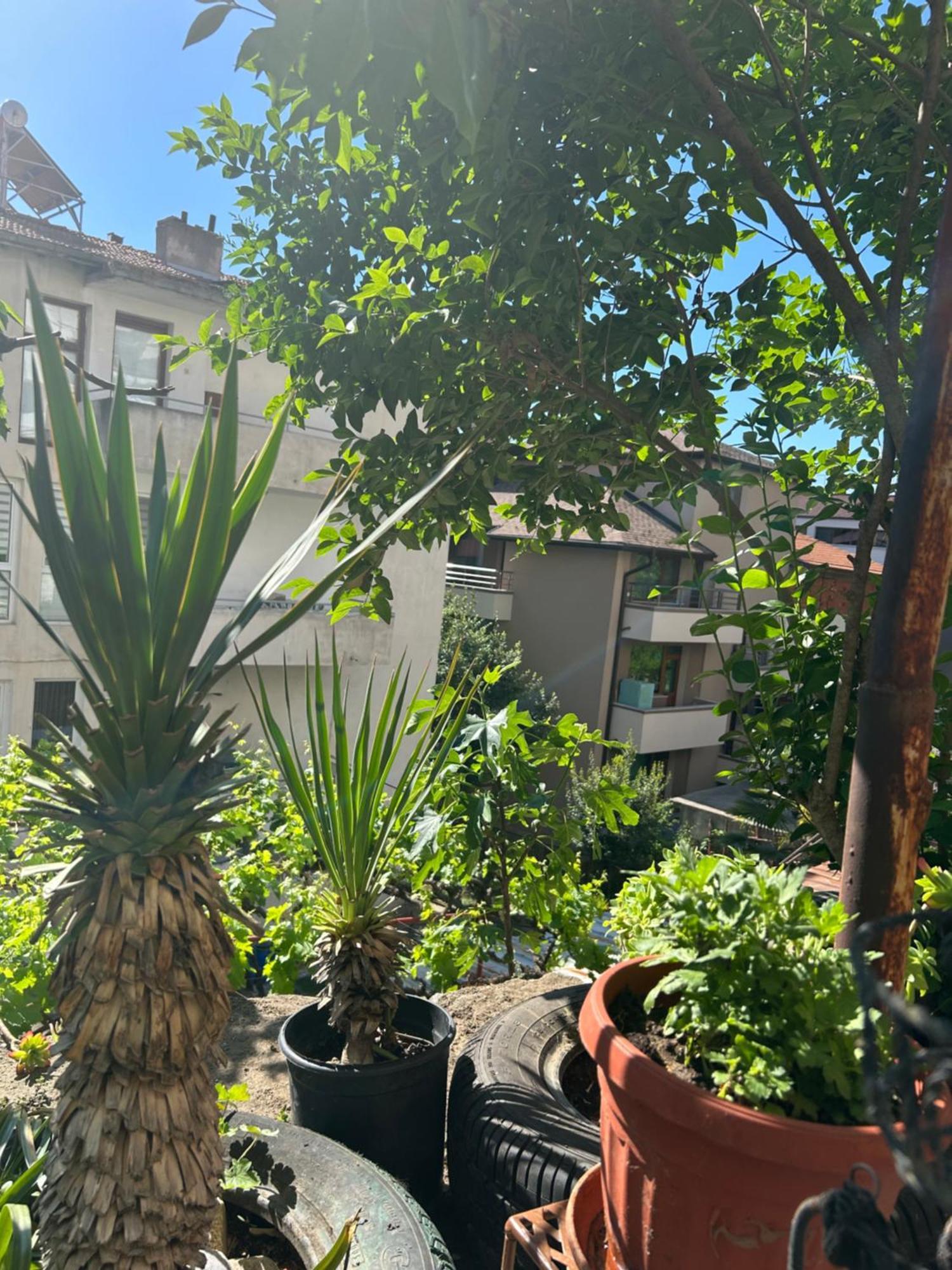 Apartamento Didi House Sandanski Exterior foto