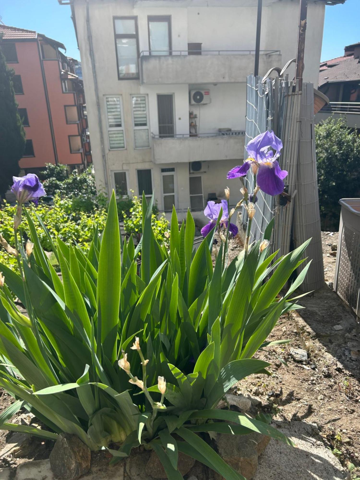 Apartamento Didi House Sandanski Exterior foto